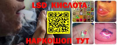 гашик Камышлов
