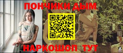 гашик Камышлов
