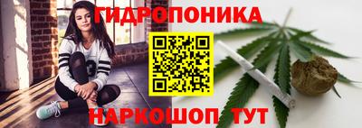 гашик Камышлов