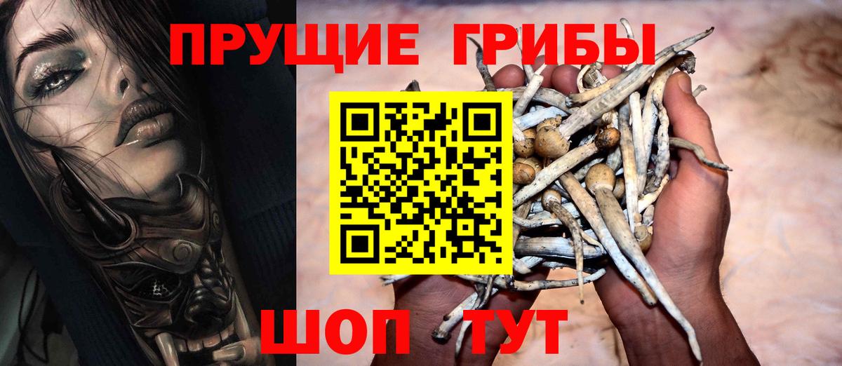 Галлюциногенные грибы Psilocybine cubensis  Вход с VPN  Галлюциногенные грибы GOLDEN TEACHER  Коркино 